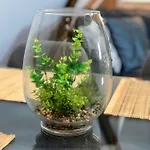 Beauty & The Beast - Old Town Cosy كولمار