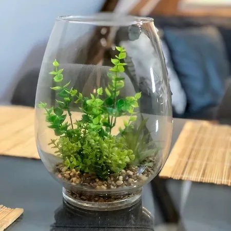 Beauty & The Beast - Old Town Cosy Colmar