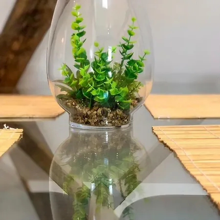 Apartmán Beauty & The Beast - Old Town Cosy Colmar