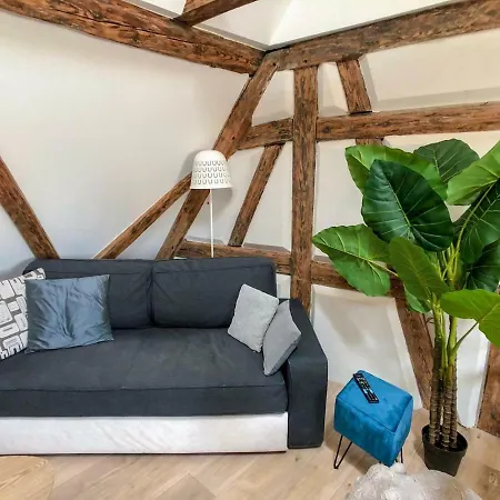 Apartment Beauty & The Beast - Old Town Cosy *