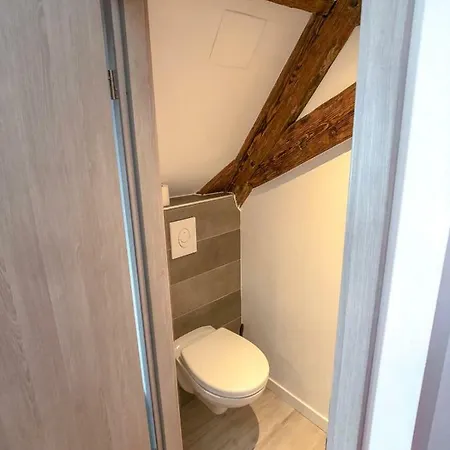 Beauty & The Beast - Old Town Cosy Colmar