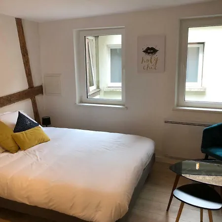 Beauty & The Beast - Old Town Cosy Colmar